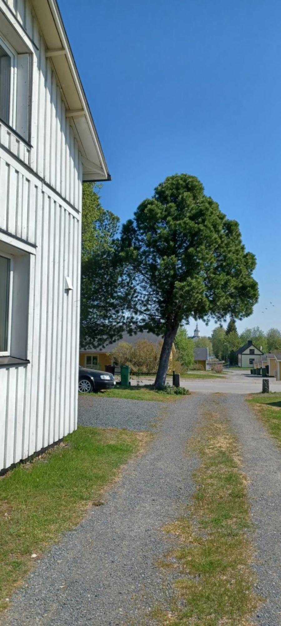 Vita Villan Haparanda (Norrbotten) Exterior foto